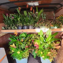 Plant Trailer