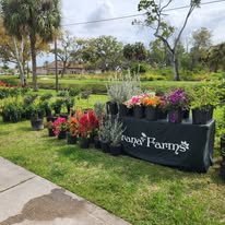 Plant Show
