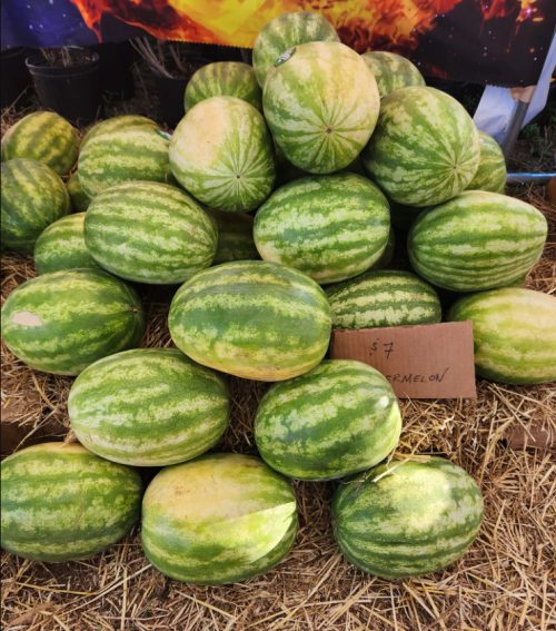 Watermelon
