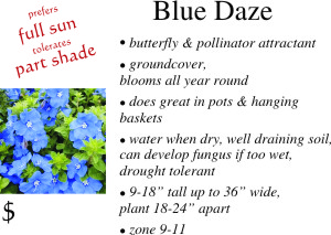 Blue Daze