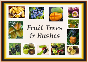 Fruit Trees and Bushes