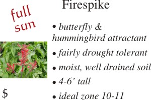 Firespike