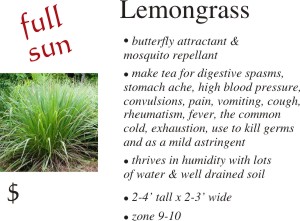 Lemongrass