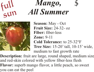 All Summer Mango