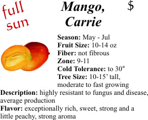Carrie Mango
