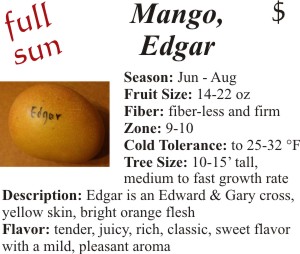 Edgar Mango
