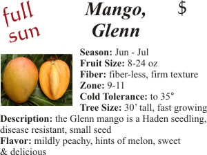 Glenn Mango
