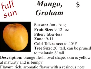 Graham Mango