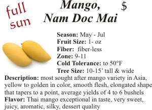 Nam Doc Mai Mango