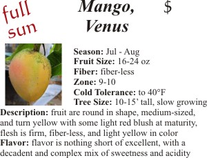 Venus Mango