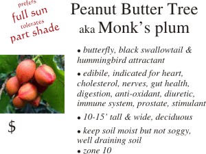 Peanut Butter Tree