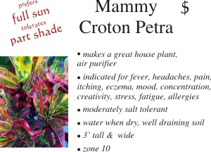 Mammy Petra