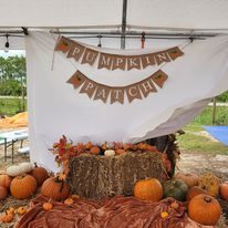 Pumpkin Patch