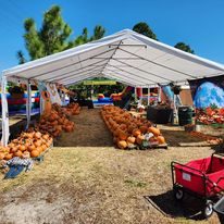 Pumpkin Patch