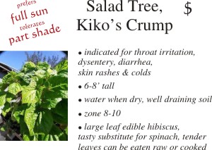 Salad Tree
