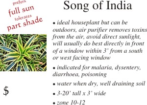 Song of India