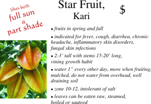 Star Fruit